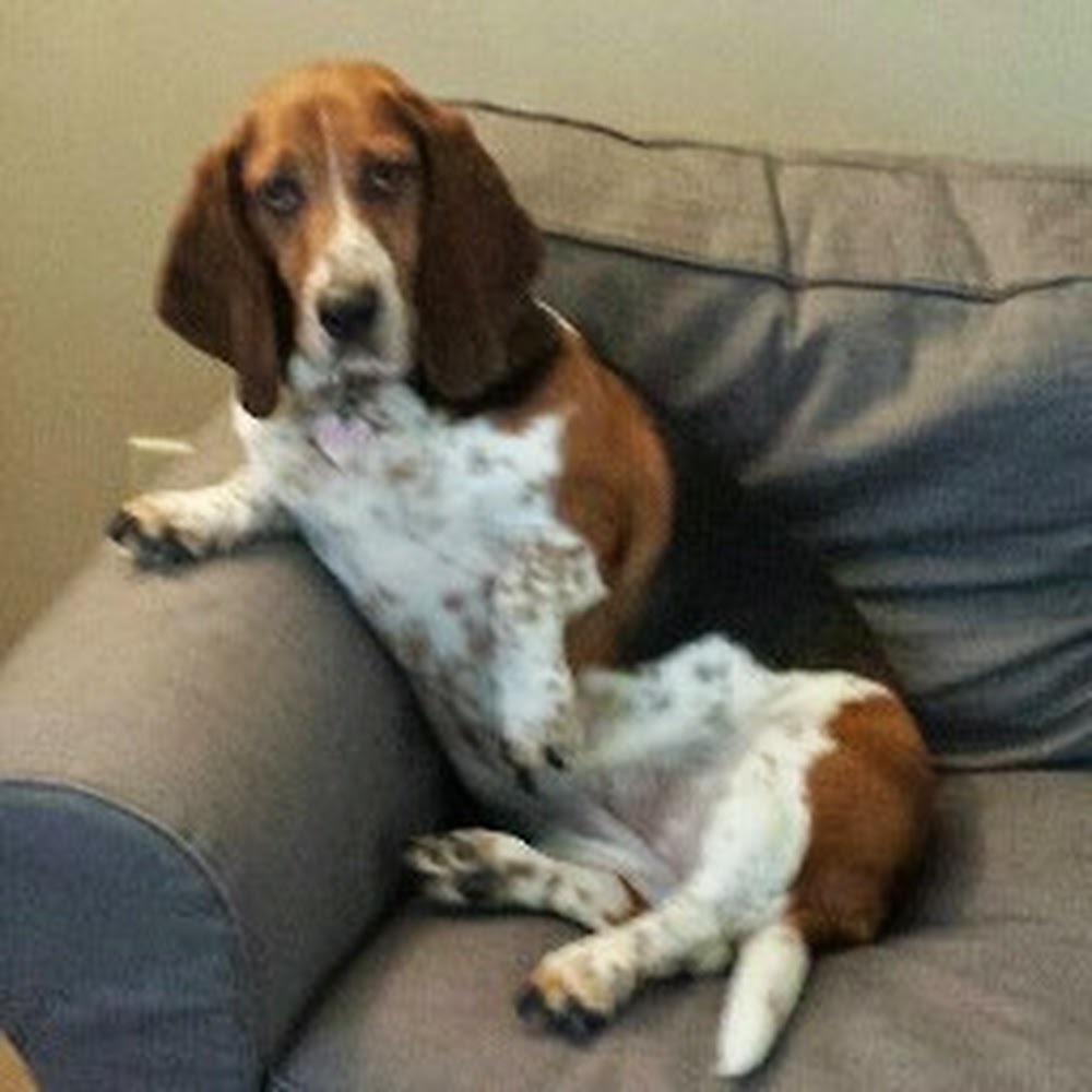 Meet your Posher, Deirdre